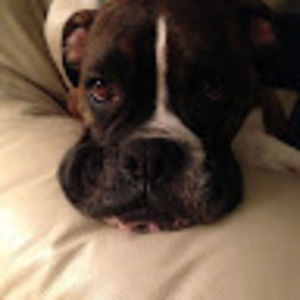 Meet your Posher, Don